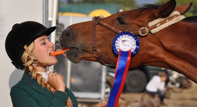 Feeding Your Horse in Winter