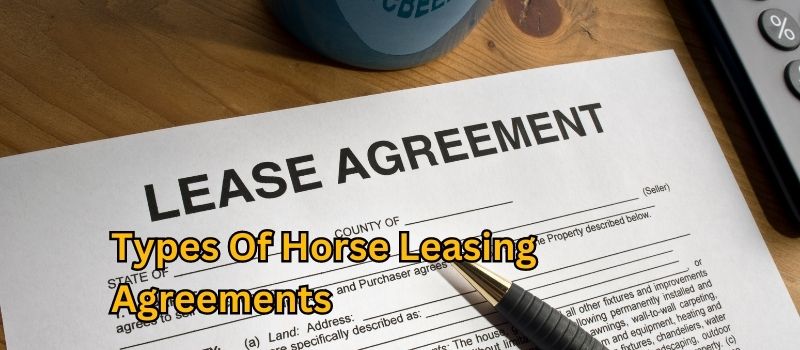 Demystifying Horse Leasing Agreements: Understanding the Different Types