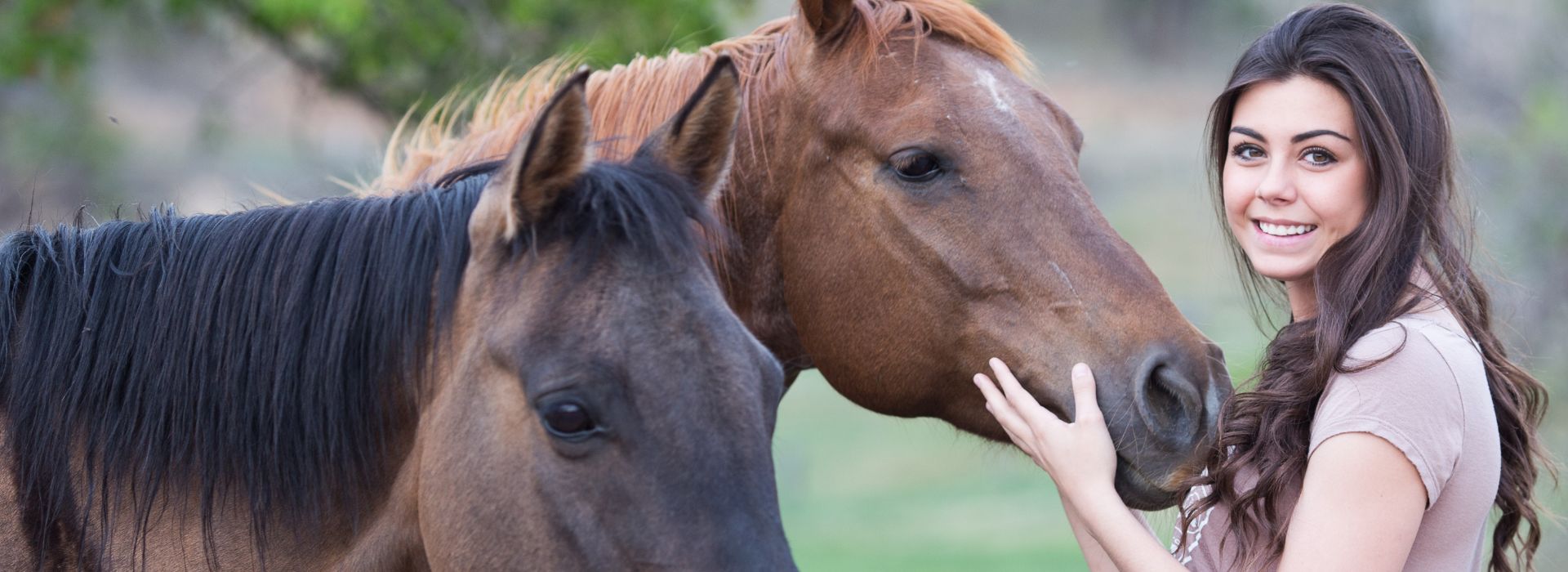 Thinking of Buying a Horse? Don’t Miss These Critical Checks